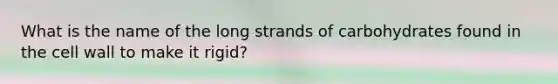 What is the name of the long strands of carbohydrates found in the cell wall to make it rigid?