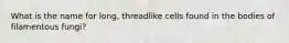 What is the name for long, threadlike cells found in the bodies of filamentous fungi?