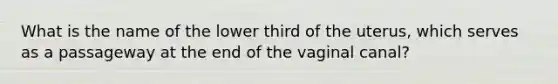 What is the name of the lower third of the uterus, which serves as a passageway at the end of the vaginal canal?