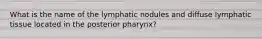 What is the name of the lymphatic nodules and diffuse lymphatic tissue located in the posterior pharynx?