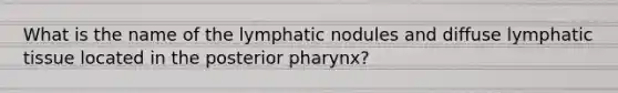 What is the name of the lymphatic nodules and diffuse lymphatic tissue located in the posterior pharynx?