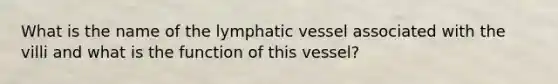 What is the name of the lymphatic vessel associated with the villi and what is the function of this vessel?