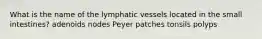 What is the name of the lymphatic vessels located in the small intestines? adenoids nodes Peyer patches tonsils polyps