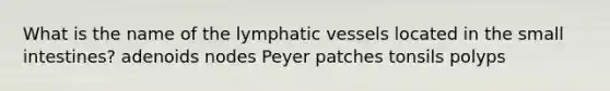 What is the name of the lymphatic vessels located in the small intestines? adenoids nodes Peyer patches tonsils polyps