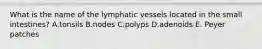 What is the name of the lymphatic vessels located in the small intestines? A.tonsils B.nodes C.polyps D.adenoids E. Peyer patches