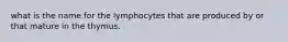 what is the name for the lymphocytes that are produced by or that mature in the thymus.