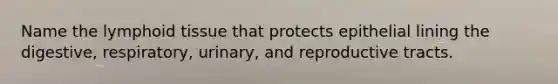 Name the lymphoid tissue that protects epithelial lining the digestive, respiratory, urinary, and reproductive tracts.