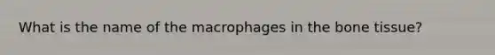 What is the name of the macrophages in the bone tissue?