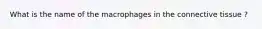 What is the name of the macrophages in the connective tissue ?