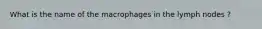 What is the name of the macrophages in the lymph nodes ?