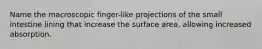 Name the macroscopic finger-like projections of the small intestine lining that increase the surface area, allowing increased absorption.
