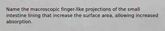 Name the macroscopic finger-like projections of the small intestine lining that increase the surface area, allowing increased absorption.