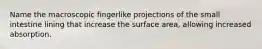 Name the macroscopic fingerlike projections of the small intestine lining that increase the surface area, allowing increased absorption.