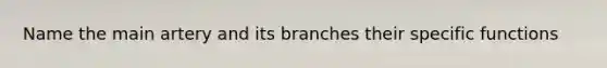 Name the main artery and its branches their specific functions