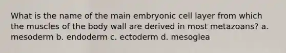 What is the name of the main embryonic cell layer from which the muscles of the body wall are derived in most metazoans? a. mesoderm b. endoderm c. ectoderm d. mesoglea