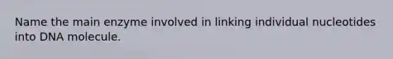 Name the main enzyme involved in linking individual nucleotides into DNA molecule.