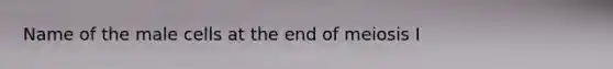 Name of the male cells at the end of meiosis I