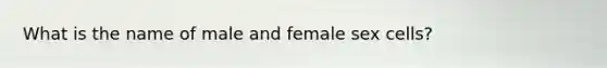 What is the name of male and female sex cells?