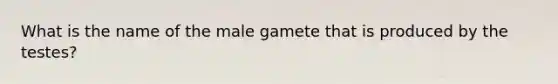 What is the name of the male gamete that is produced by the testes?