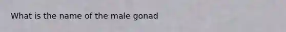 What is the name of the male gonad