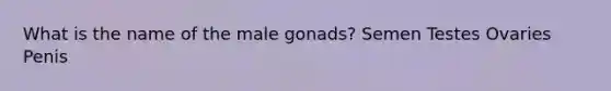 What is the name of the male gonads? Semen Testes Ovaries Penis