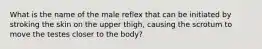 What is the name of the male reflex that can be initiated by stroking the skin on the upper thigh, causing the scrotum to move the testes closer to the body?