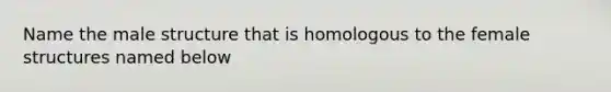 Name the male structure that is homologous to the female structures named below