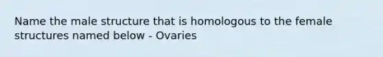 Name the male structure that is homologous to the female structures named below - Ovaries