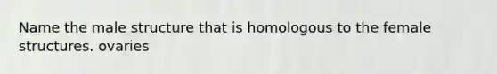 Name the male structure that is homologous to the female structures. ovaries