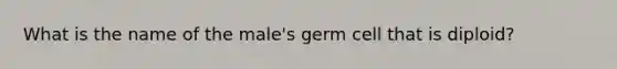 What is the name of the male's germ cell that is diploid?