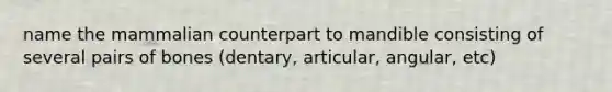 name the mammalian counterpart to mandible consisting of several pairs of bones (dentary, articular, angular, etc)