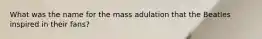 What was the name for the mass adulation that the Beatles inspired in their fans?