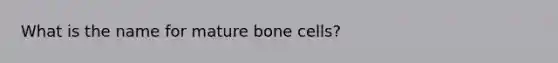 What is the name for mature bone cells?