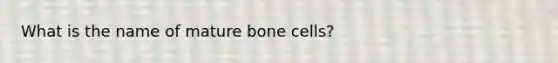 What is the name of mature bone cells?