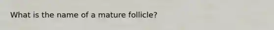 What is the name of a mature follicle?