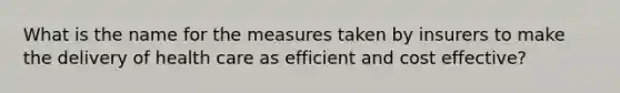 What is the name for the measures taken by insurers to make the delivery of health care as efficient and cost effective?