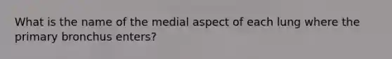 What is the name of the medial aspect of each lung where the primary bronchus enters?