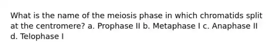 What is the name of the meiosis phase in which chromatids split at the centromere? a. Prophase II b. Metaphase I c. Anaphase II d. Telophase I