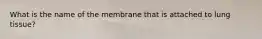 What is the name of the membrane that is attached to lung tissue?