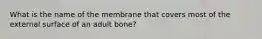 What is the name of the membrane that covers most of the external surface of an adult bone?