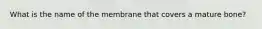 What is the name of the membrane that covers a mature bone?