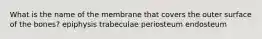 What is the name of the membrane that covers the outer surface of the bones? epiphysis trabeculae periosteum endosteum