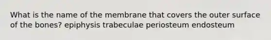 What is the name of the membrane that covers the outer surface of the bones? epiphysis trabeculae periosteum endosteum