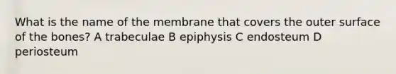 What is the name of the membrane that covers the outer surface of the bones? A trabeculae B epiphysis C endosteum D periosteum