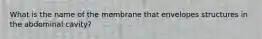 What is the name of the membrane that envelopes structures in the abdominal cavity?