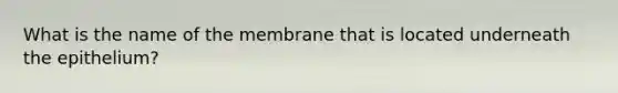 What is the name of the membrane that is located underneath the epithelium?