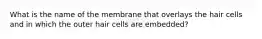 What is the name of the membrane that overlays the hair cells and in which the outer hair cells are embedded?