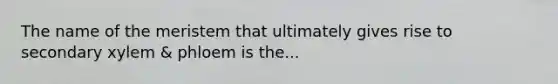 The name of the meristem that ultimately gives rise to secondary xylem & phloem is the...