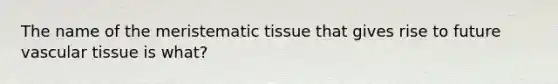 The name of the meristematic tissue that gives rise to future vascular tissue is what?