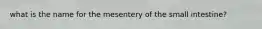 what is the name for the mesentery of the small intestine?